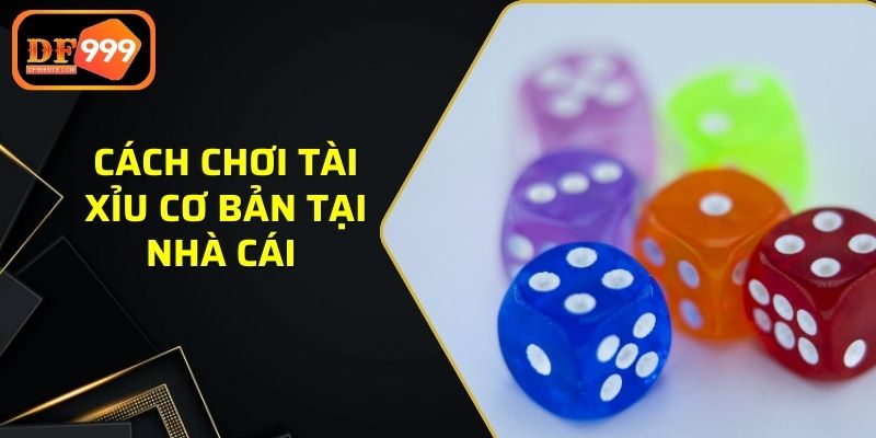 Cách chơi tài xỉu cơ bản tại nhà cái 