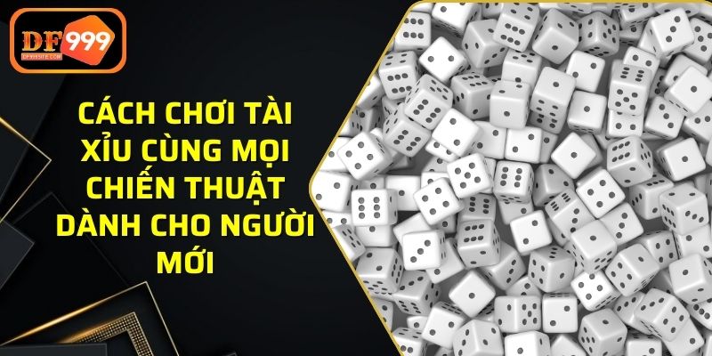 cách chơi tài xỉu