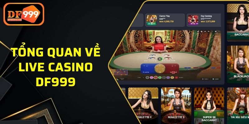 Giới thiệu nhanh về hạng mục live casino DF999