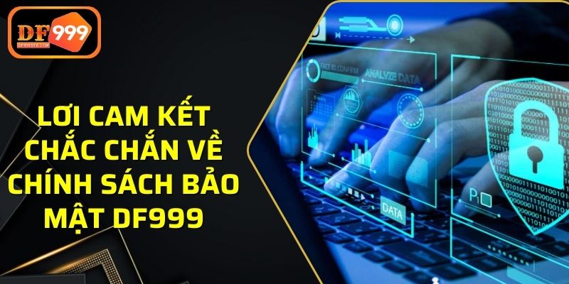 Lơi cam kết chắc chắn về chính sách bảo mật DF999