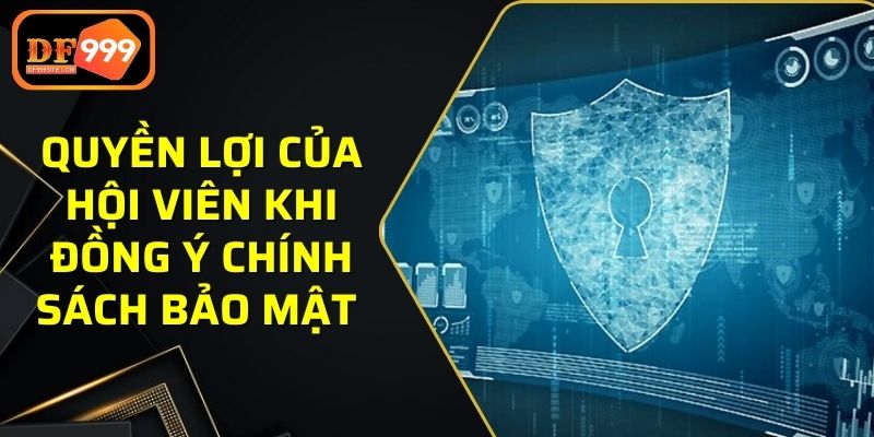 Quyền lợi của hội viên khi đồng ý chính sách bảo mật 